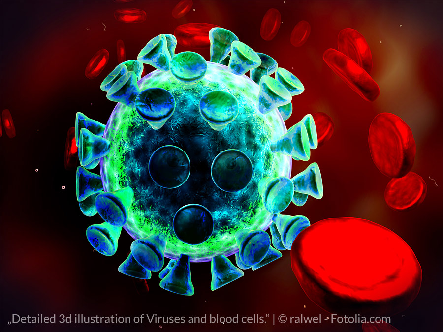 Bei hoher Dichte von LDL- Repeptoren in der Leber kann mehr Cholesterin aus dem Blut abgebaut werden