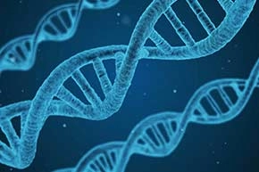 Hohes Cholesterin durch Vererbung und falscher Ernährung