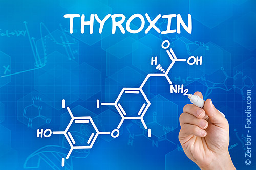 Zur Hormon-Therapie von Hashimoto-Thyreoiditis wird das Schilddrüsenhormon Thyroxin eingesetzt. | Praxisklinik Bornheim, Köln-Bonn