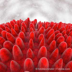 Leaky-Gut-Syndrom: Krank durch einen „undichten“ Darm | "Darmzotten" © fotoliaxrender - Fotolia.com Leaky-Gut-Syndrom: Krank durch einen „undichten“ Darm |