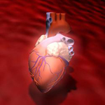 Auffälligen Herzschlag ärztlich abklären lassen